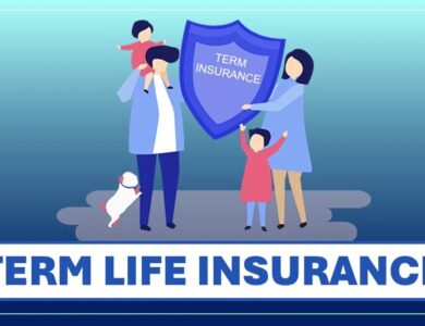 Term Insurance